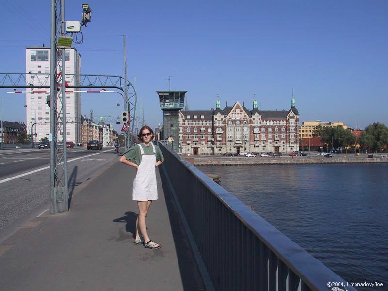 Bridge over the canal