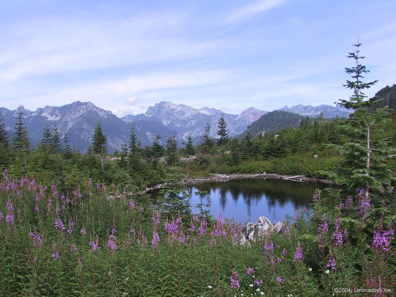 Windy Pass lake