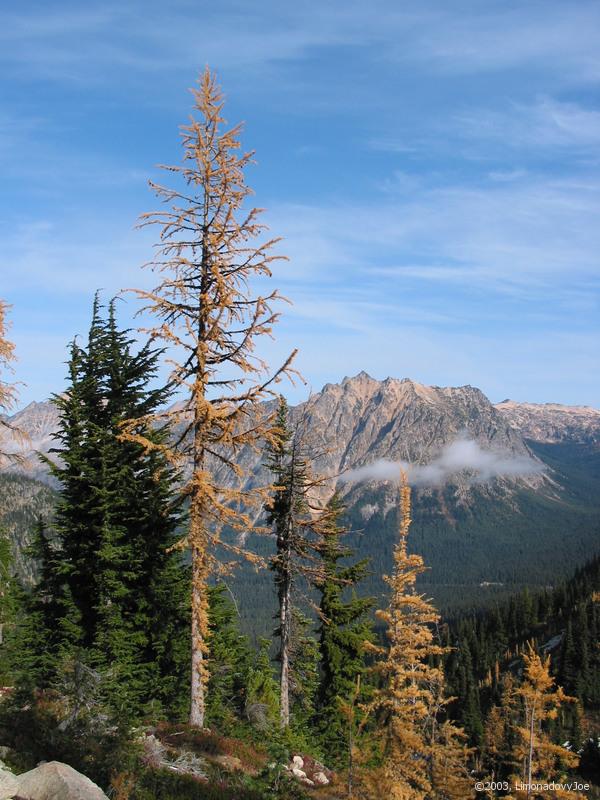 Washington pass view