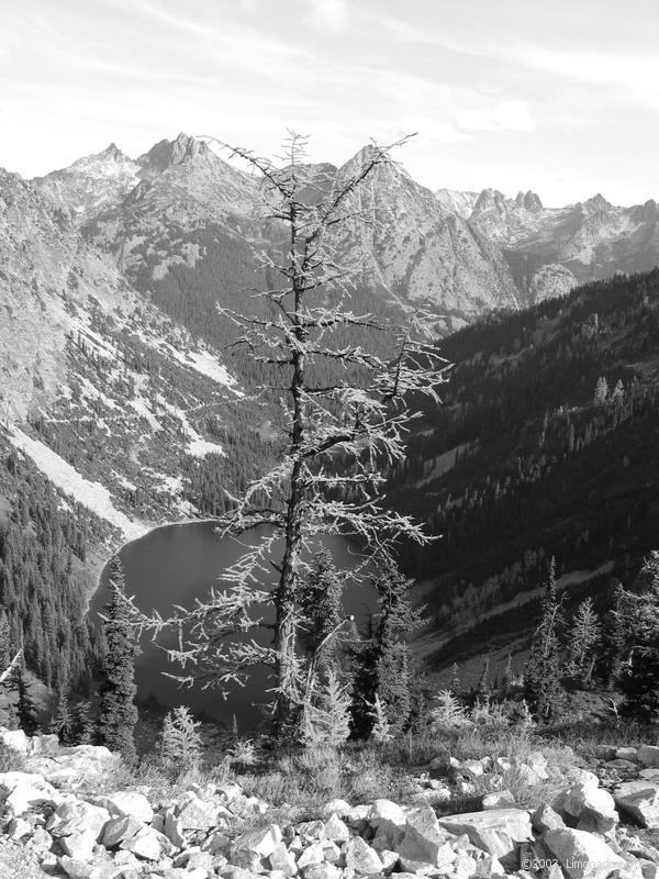 umleck foto