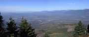 click to enlarge image IMG_0196-7.JPG