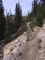 click to enlarge image IMG_0050.JPG