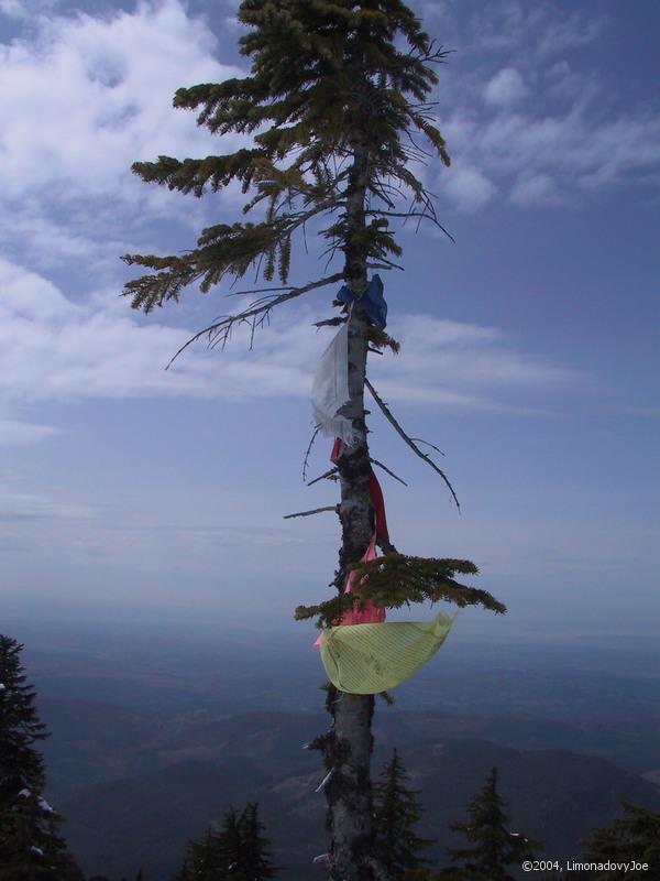 base camp flags