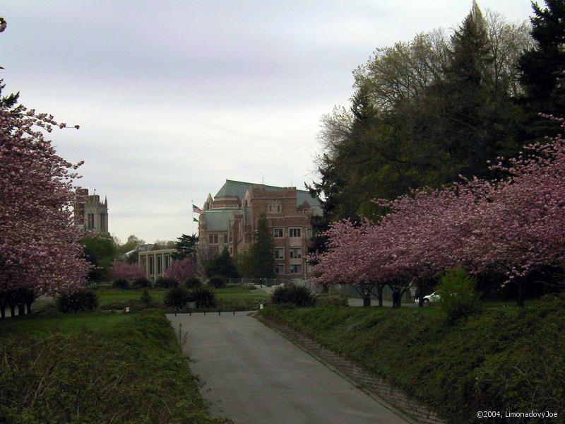 University of Washington