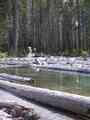 click to enlarge image IMG_0016.JPG