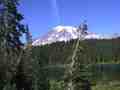 click to enlarge image IMG_0020.JPG