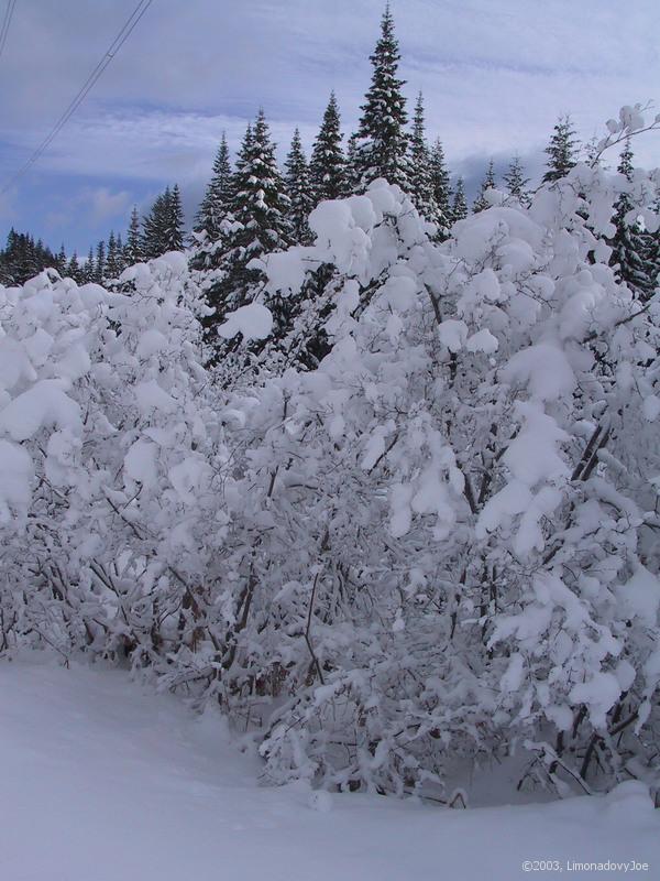 it was powder