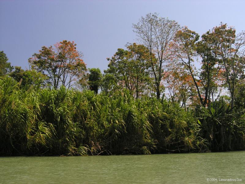 P2260107-p.jpg
