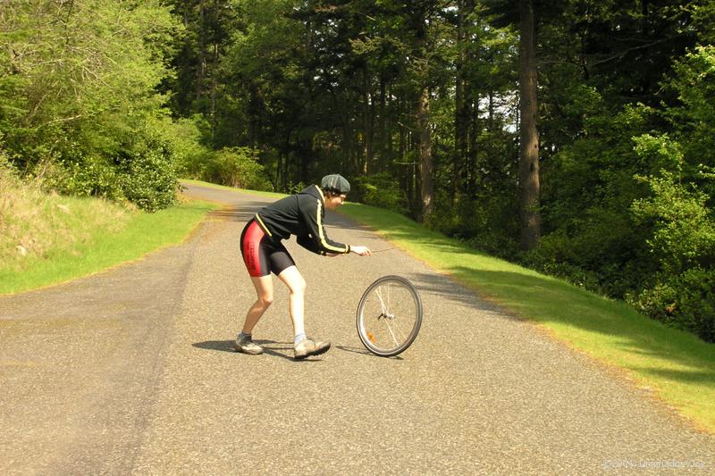 wheel chasing