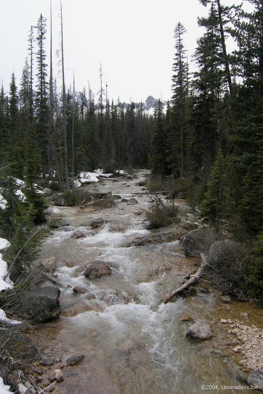 Cutthroat Creek