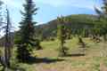 click to enlarge image P6201099.JPG