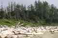 click to enlarge image P7101432.JPG