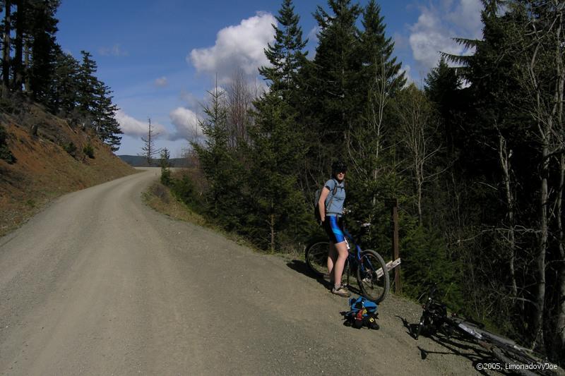 3mile ridge, back to the woods