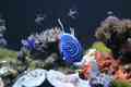 Seattle Aquarium