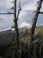 click to enlarge image IMG_0151.jpg
