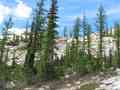 click to enlarge image IMG_0391.JPG