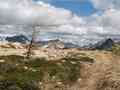 click to enlarge image IMG_0404.JPG