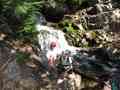 click to enlarge image IMG_0442.JPG