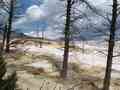 click to enlarge image IMG_0561.JPG