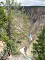 click to enlarge image IMG_0686.JPG