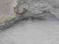 click to enlarge image IMG_0708.JPG
