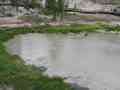 click to enlarge image IMG_0709.JPG