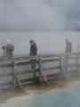 click to enlarge image IMG_0729.JPG