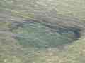 click to enlarge image IMG_0733.JPG