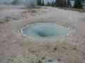 click to enlarge image IMG_0740.JPG