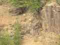 click to enlarge image IMG_0869.jpg