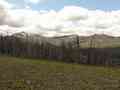 click to enlarge image IMG_0889.jpg