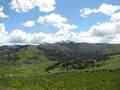 click to enlarge image IMG_0923.jpg