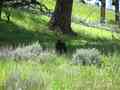 click to enlarge image IMG_0924.jpg