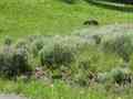 click to enlarge image IMG_0933.jpg