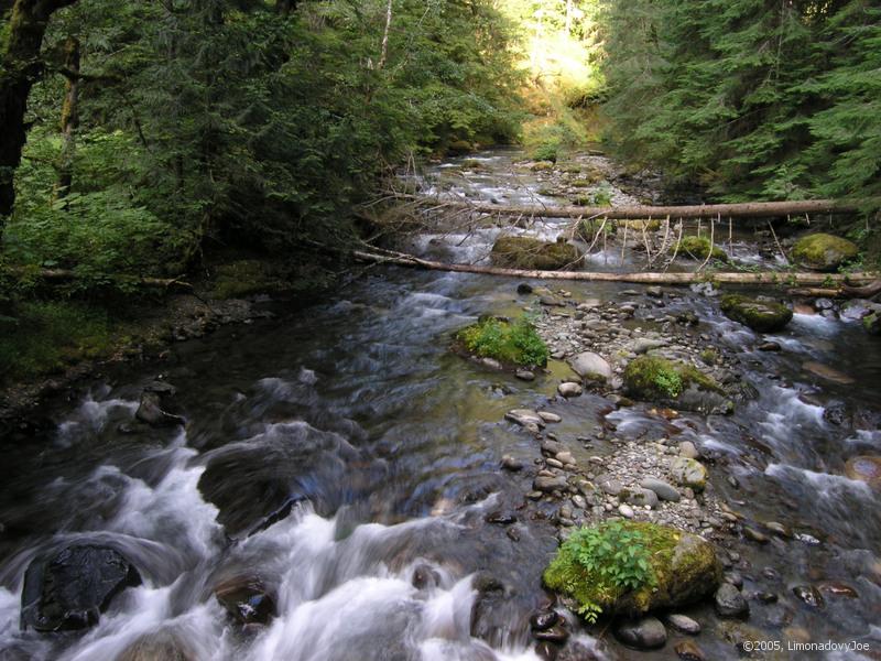 Gold Creek