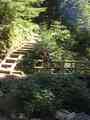 click to enlarge image P8282585.JPG