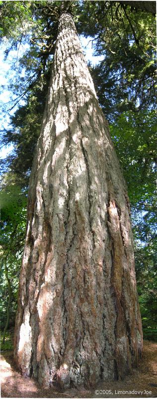 P9133412-3.JPG