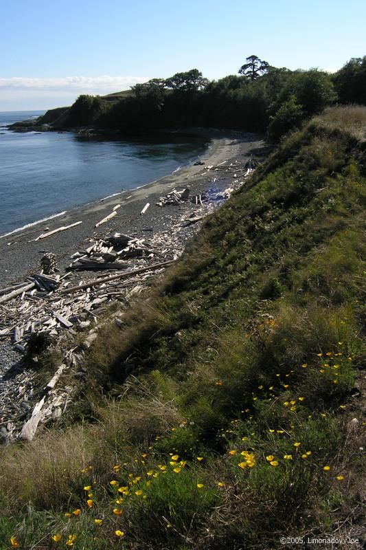 P9173686.JPG