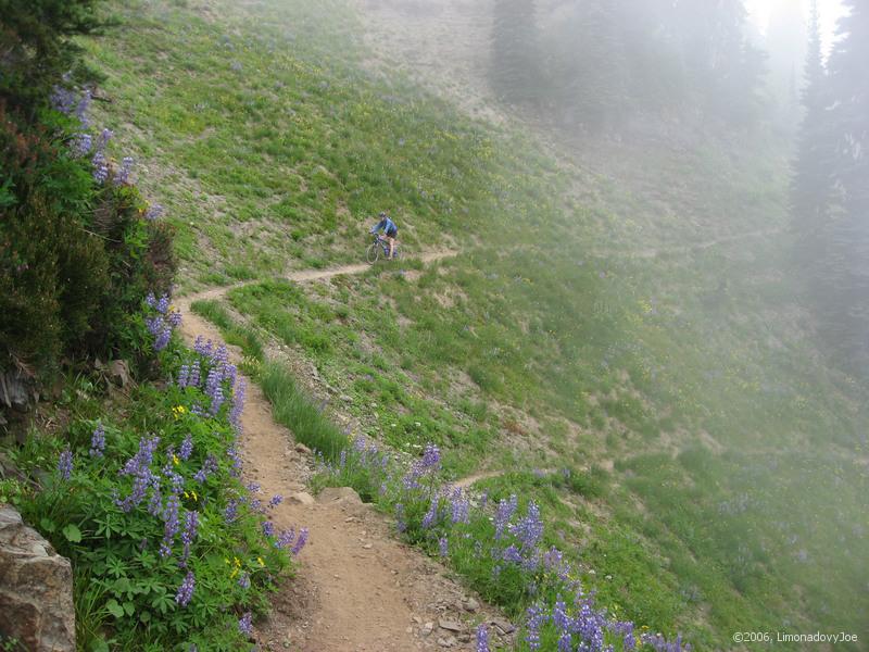 switchbacks in the fog