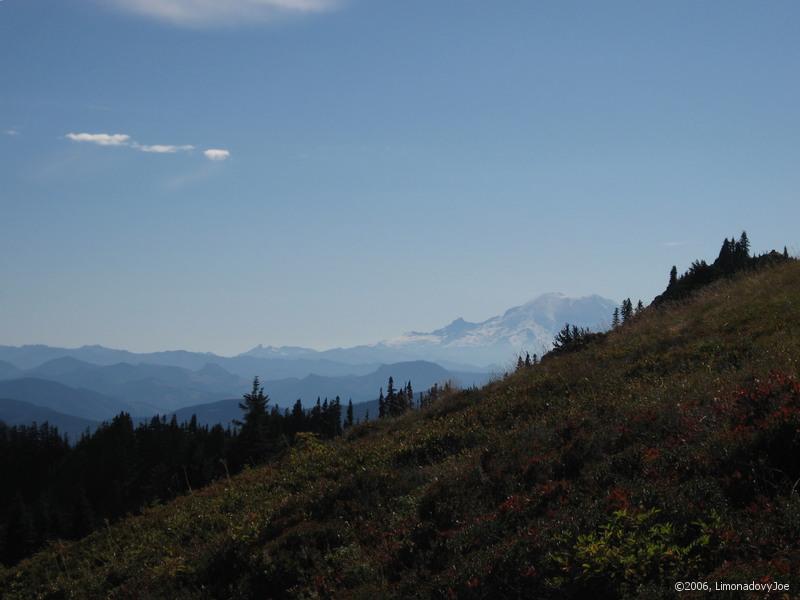 Mt. Rainier