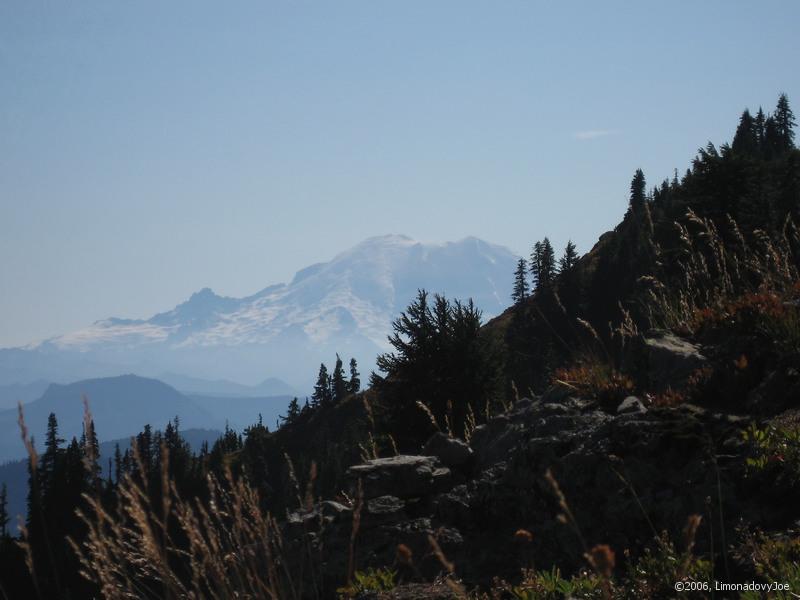 Mt. Rainier III