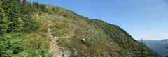 click to enlarge image IMG_1552-6.jpg